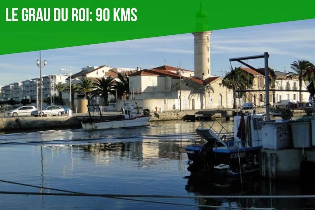 Le Saint-Laurent - Parking Gratuit - Terrasse - Wi-Fi Avignon Kültér fotó