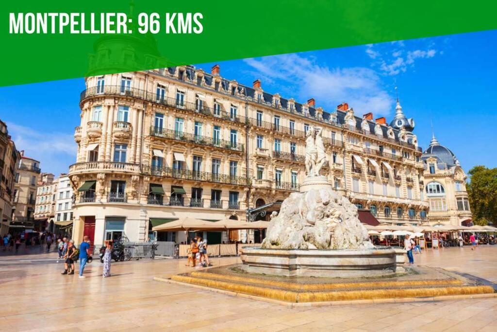 Le Saint-Laurent - Parking Gratuit - Terrasse - Wi-Fi Avignon Kültér fotó